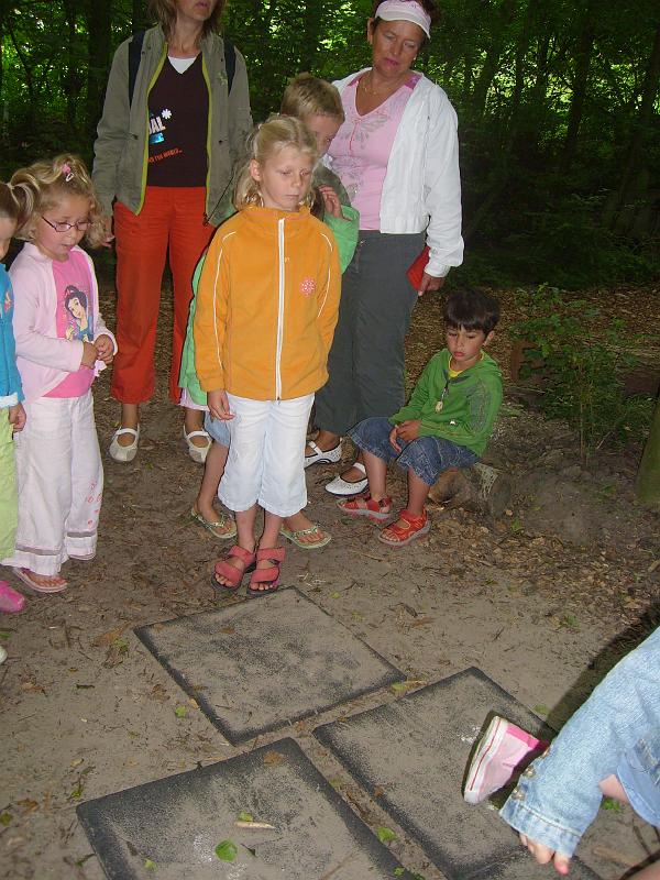 070612 skoalreiske beukers 045.jpg